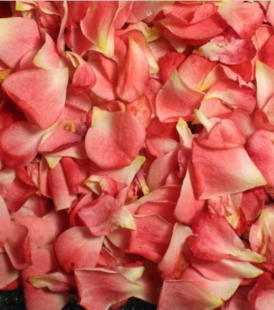 Rose Petals